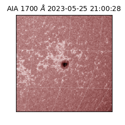 saia - 2023-05-25T21:00:28.745000