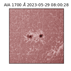 saia - 2023-05-29T08:00:28.747000