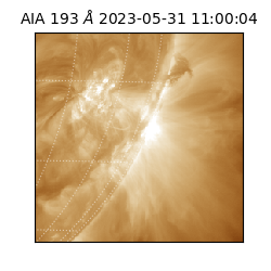 saia - 2023-05-31T11:00:04.843000