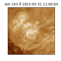 saia - 2023-05-31T11:00:04.843000