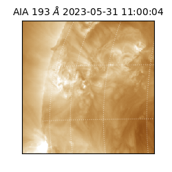 saia - 2023-05-31T11:00:04.843000