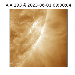 saia - 2023-06-01T09:00:04.843000