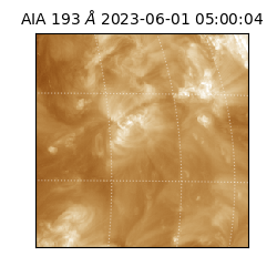 saia - 2023-06-01T05:00:04.843000