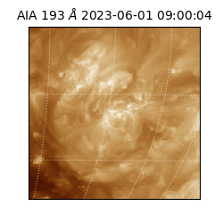 saia - 2023-06-01T09:00:04.843000