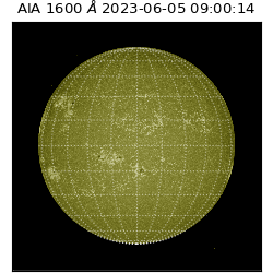 saia - 2023-06-05T09:00:14.126000