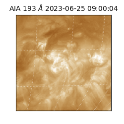 saia - 2023-06-25T09:00:04.843000