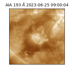 saia - 2023-06-25T09:00:04.843000