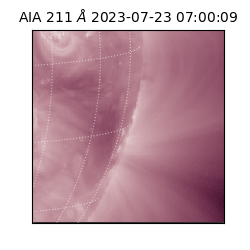 saia - 2023-07-23T07:00:09.626000