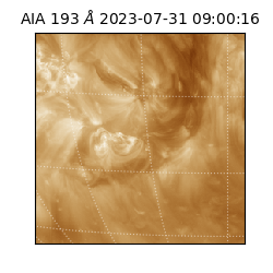 saia - 2023-07-31T09:00:16.846000