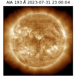 saia - 2023-07-31T23:00:04.843000