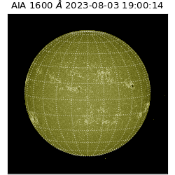 saia - 2023-08-03T19:00:14.131000