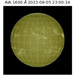 saia - 2023-08-05T23:00:14.133000