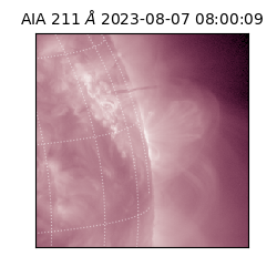 saia - 2023-08-07T08:00:09.626000