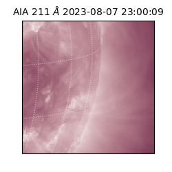 saia - 2023-08-07T23:00:09.626000