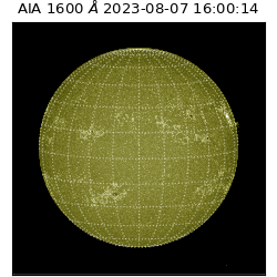 saia - 2023-08-07T16:00:14.126000