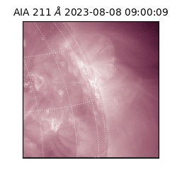 saia - 2023-08-08T09:00:09.626000