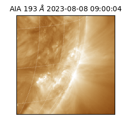 saia - 2023-08-08T09:00:04.843000
