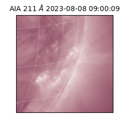 saia - 2023-08-08T09:00:09.626000