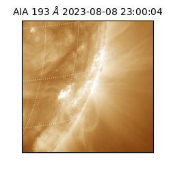 saia - 2023-08-08T23:00:04.846000