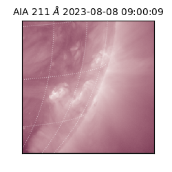 saia - 2023-08-08T09:00:09.626000