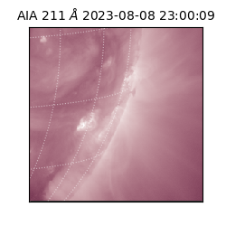 saia - 2023-08-08T23:00:09.626000