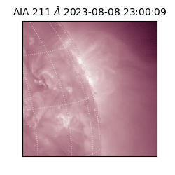 saia - 2023-08-08T23:00:09.626000