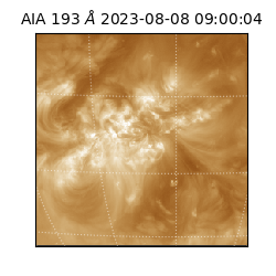 saia - 2023-08-08T09:00:04.843000