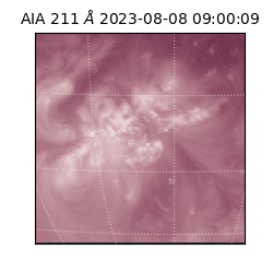 saia - 2023-08-08T09:00:09.626000