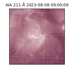 saia - 2023-08-08T09:00:09.626000