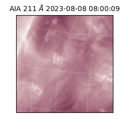 saia - 2023-08-08T08:00:09.626000