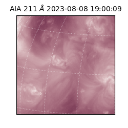 saia - 2023-08-08T19:00:09.632000