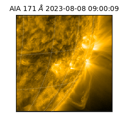 saia - 2023-08-08T09:00:09.350000