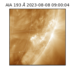 saia - 2023-08-08T09:00:04.843000