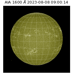 saia - 2023-08-08T09:00:14.133000