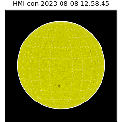 shmi - 2023-08-08T12:58:45