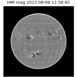 shmi - 2023-08-08T12:58:45