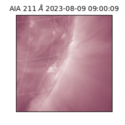 saia - 2023-08-09T09:00:09.626000