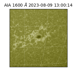 saia - 2023-08-09T13:00:14.126000