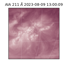 saia - 2023-08-09T13:00:09.626000