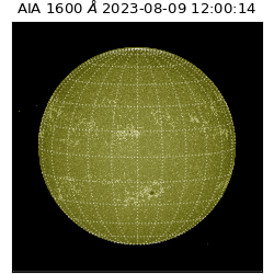 saia - 2023-08-09T12:00:14.126000