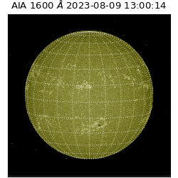 saia - 2023-08-09T13:00:14.126000