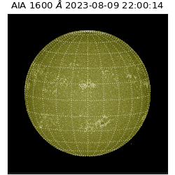 saia - 2023-08-09T22:00:14.118000