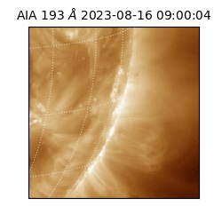 saia - 2023-08-16T09:00:04.843000