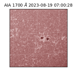 saia - 2023-08-19T07:00:28.452000