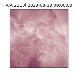 saia - 2023-08-19T09:00:09.630000