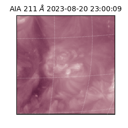 saia - 2023-08-20T23:00:09.630000