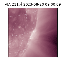 saia - 2023-08-20T09:00:09.626000