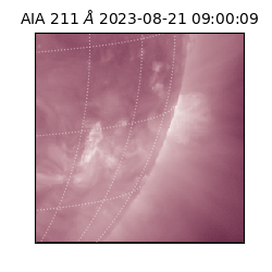 saia - 2023-08-21T09:00:09.632000