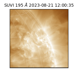 suvi - 2023-08-21T12:00:35.220000