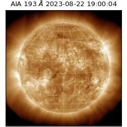 saia - 2023-08-22T19:00:04.843000